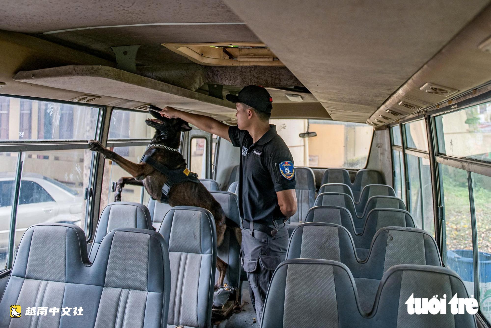 越南警衛司令部訓練警犬“出擊”打擊罪犯,“無聲”示意