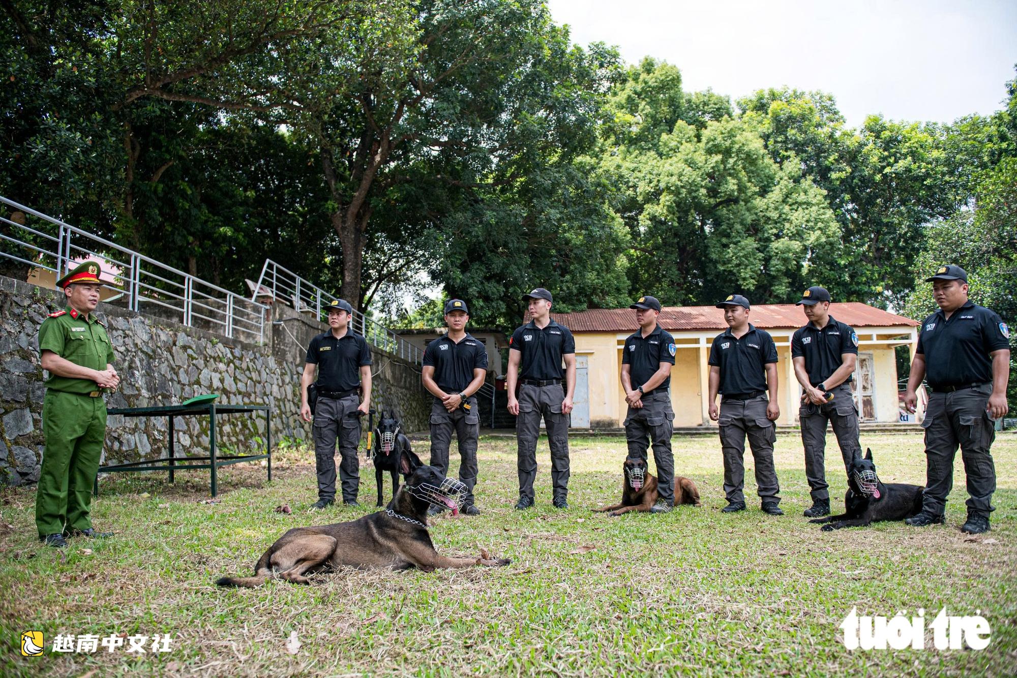 越南警衛司令部訓練警犬“出擊”打擊罪犯,“無聲”示意