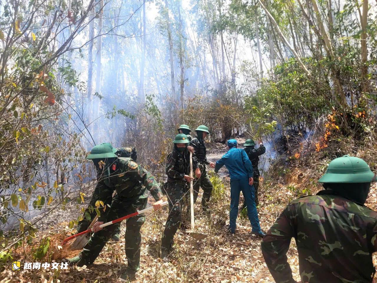 越南歸仁市附近發生森林火災,60公頃人工林受影響