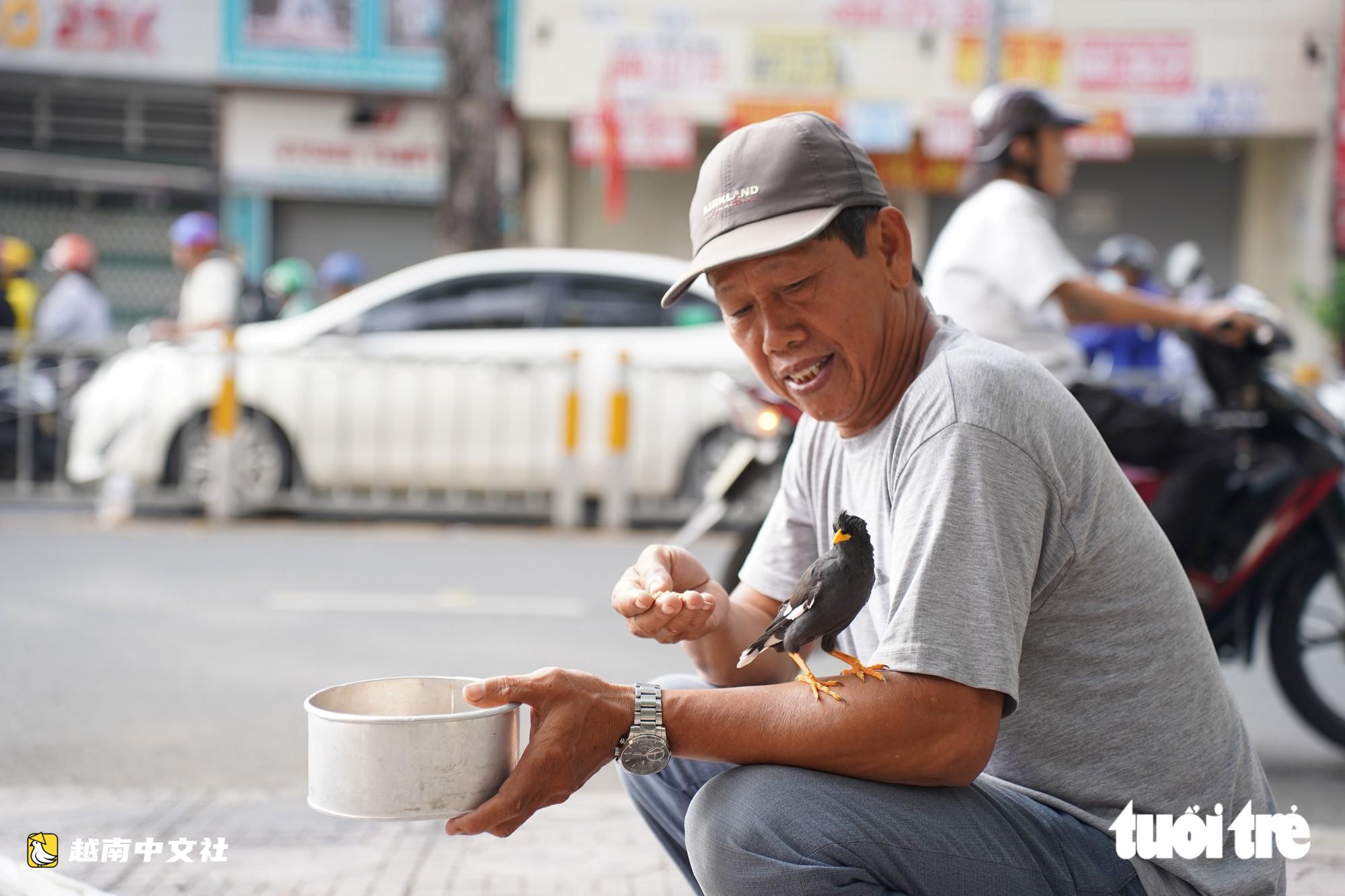 胡志明市一名老兵30多年來在市中心為鴿群‘設宴’