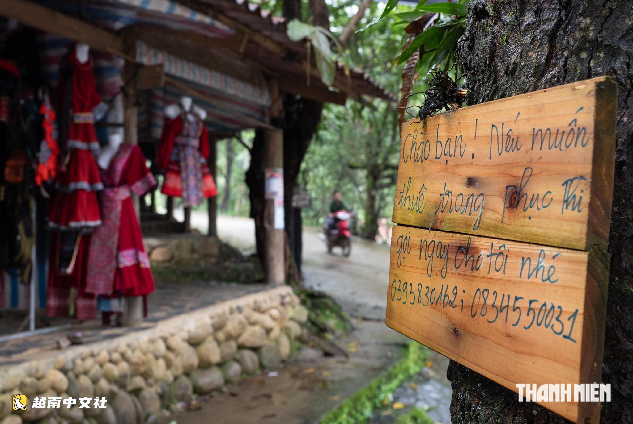越南萊州旅遊:林中美人在甦醒