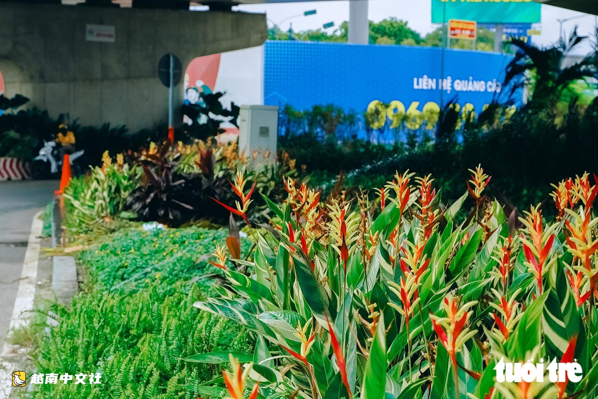 胡志明市將街道和公交候車亭變成‘小花園’