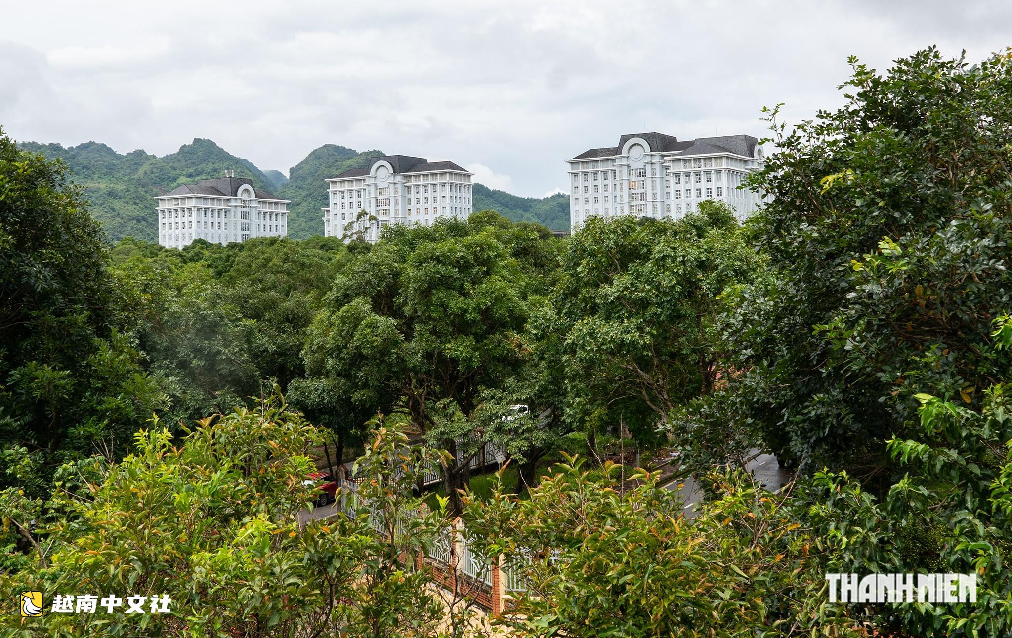 越南萊州旅遊:林中美人在甦醒