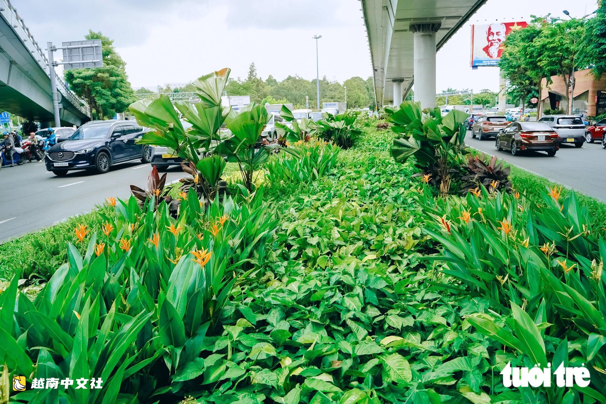 胡志明市將街道和公交候車亭變成‘小花園’