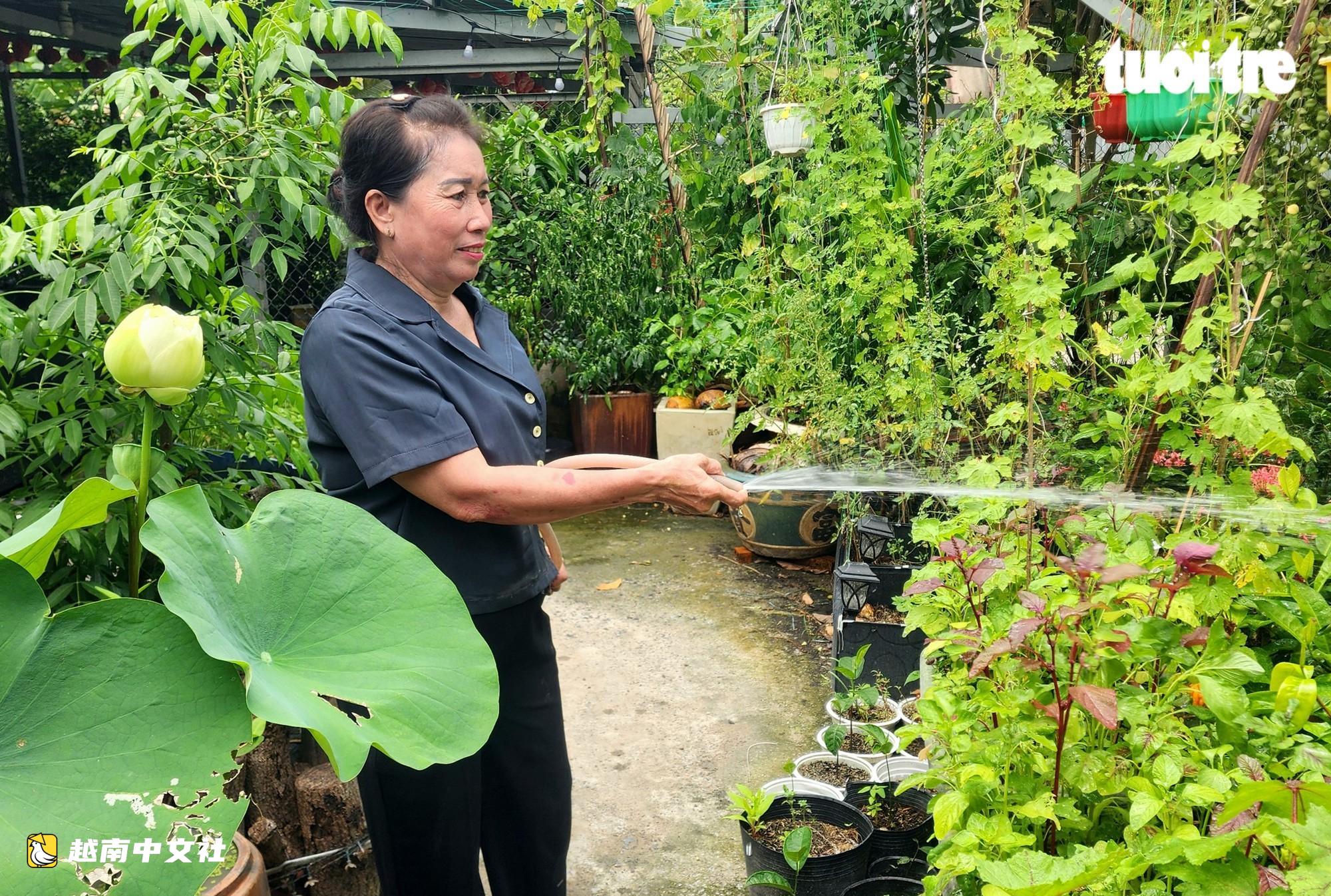 胡志明市一家4口累計獻血260次,妻子曾“偷偷”去獻血後帶動全家