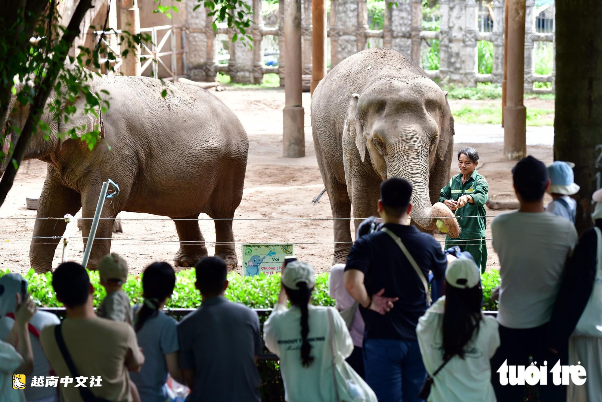 越南國慶日民眾湧向西貢動物園遊玩