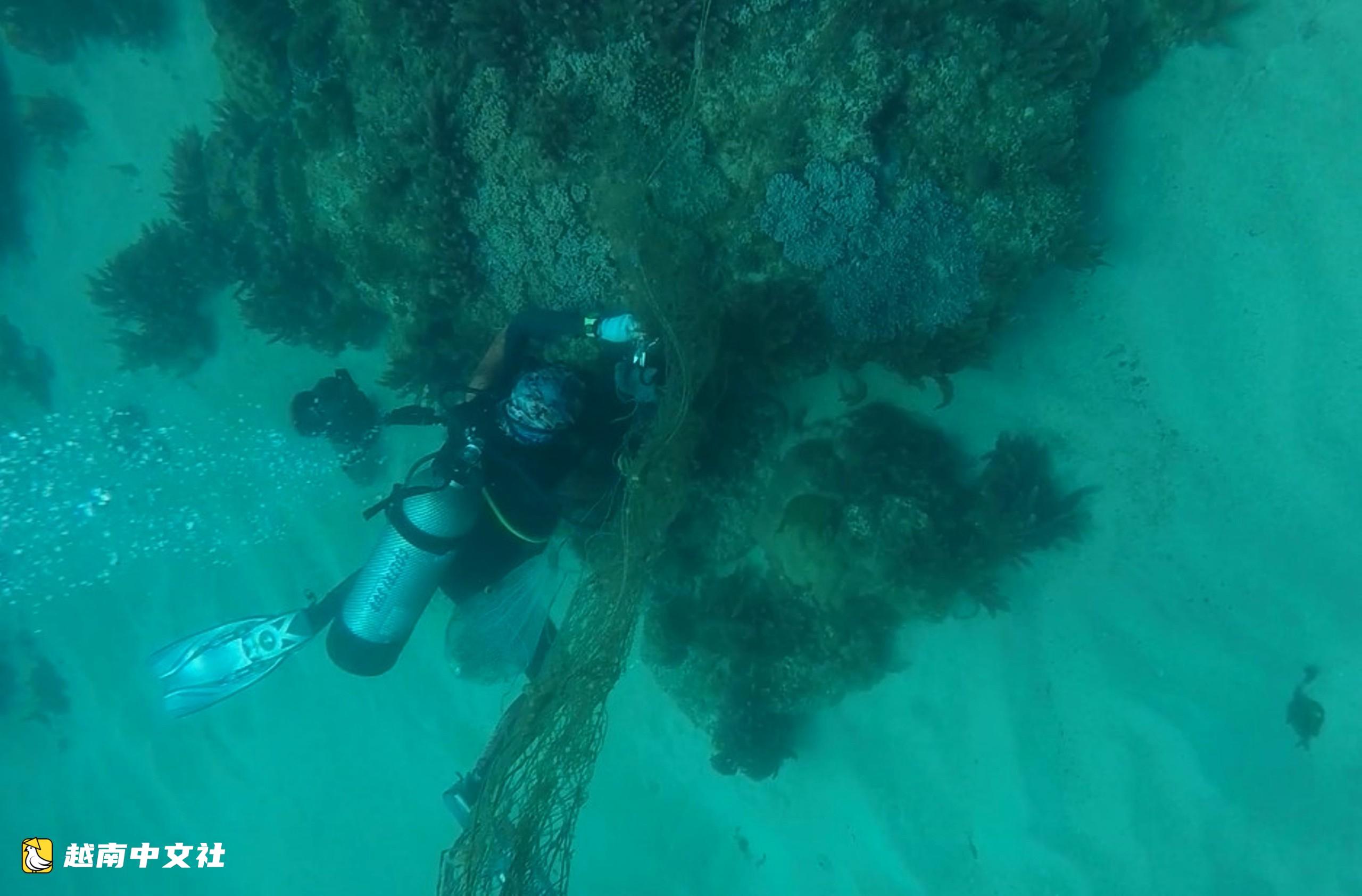 越南昏果島潛水員海底清除“幽靈漁網”,拯救海洋生物