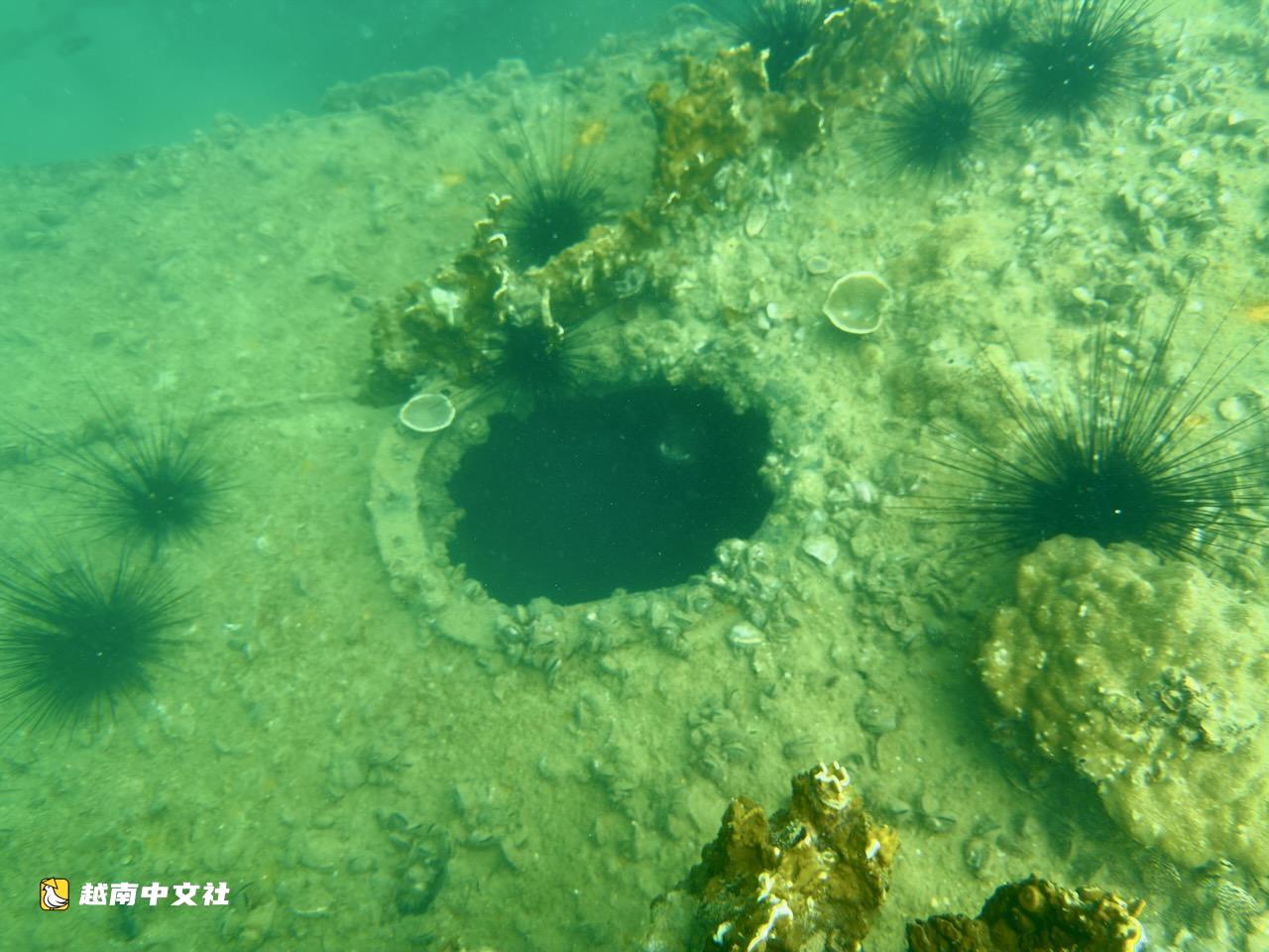 特寫:越南雲羅灣海底沉睡60多年的無號船殘骸