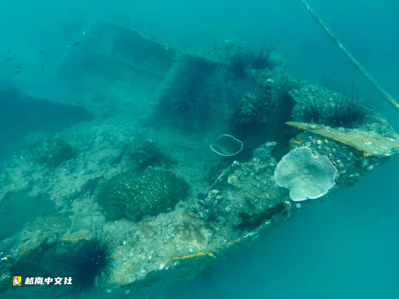 特寫:越南雲羅灣海底沉睡60多年的無號船殘骸