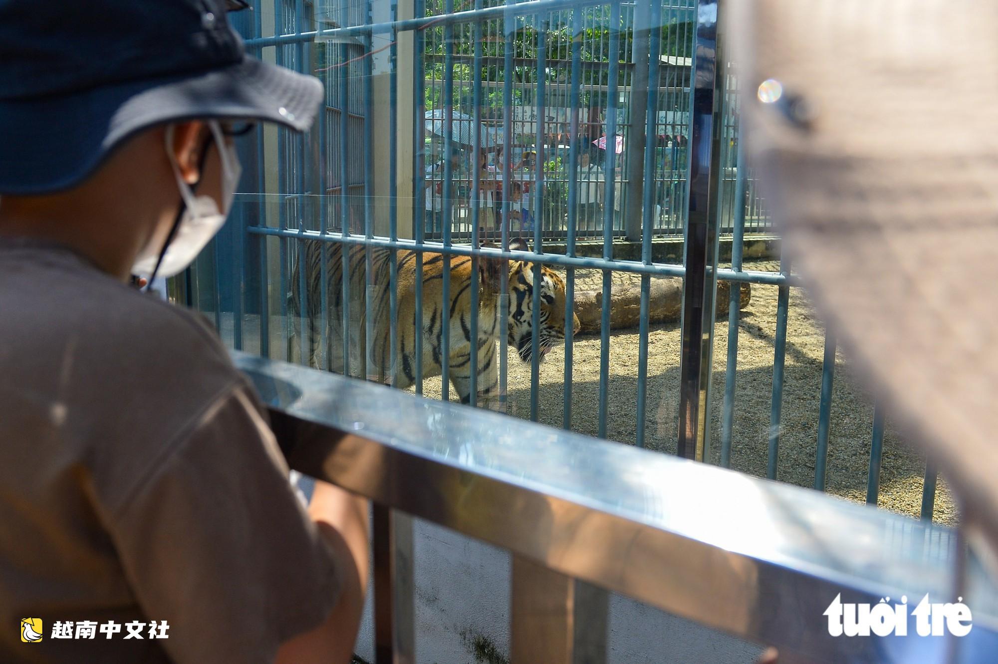 河內動物園“吸客”,眾多民眾假期前來遊玩