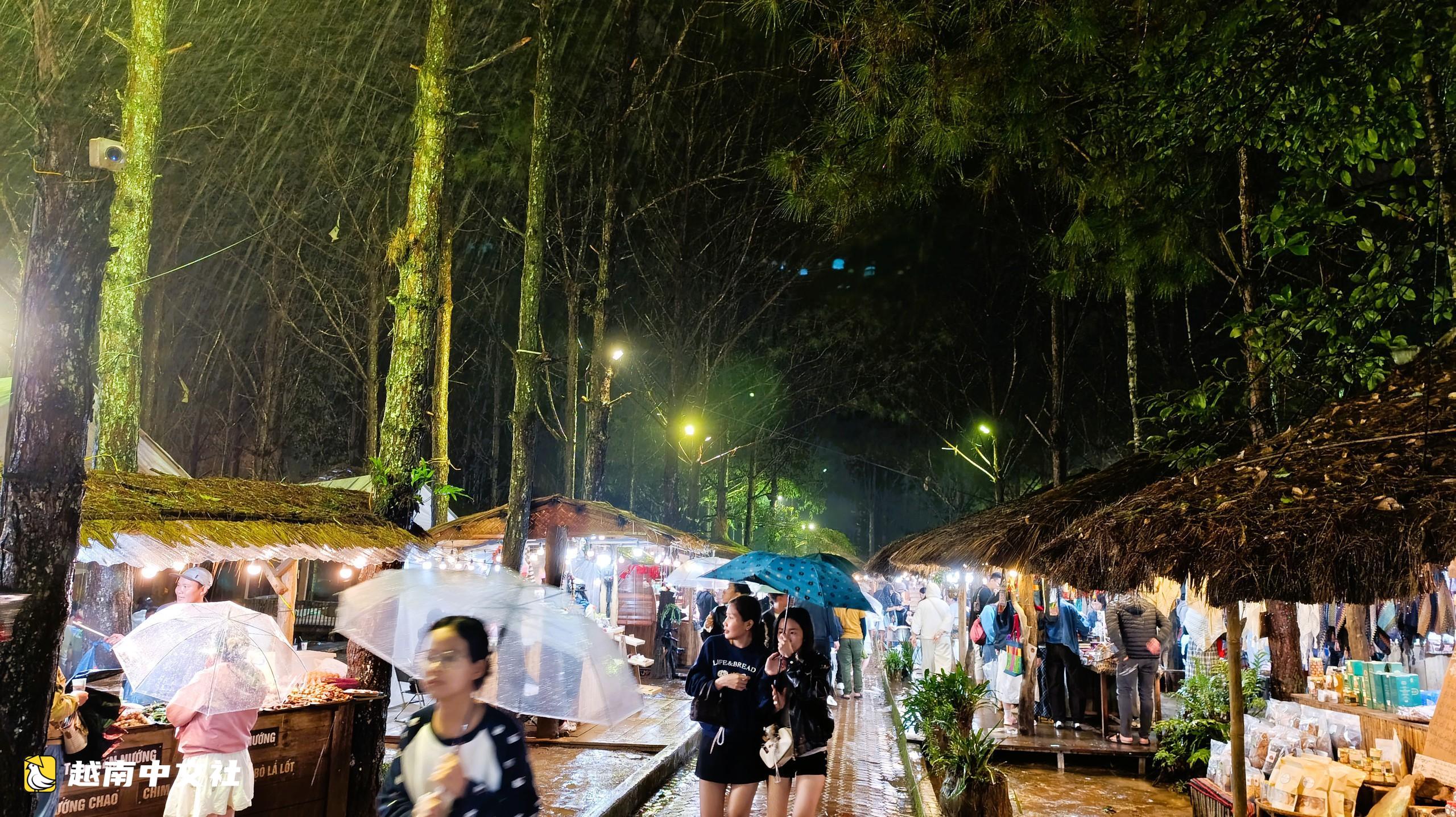 不顧寒冷下雨,遊客仍蜂擁前往越南芒登