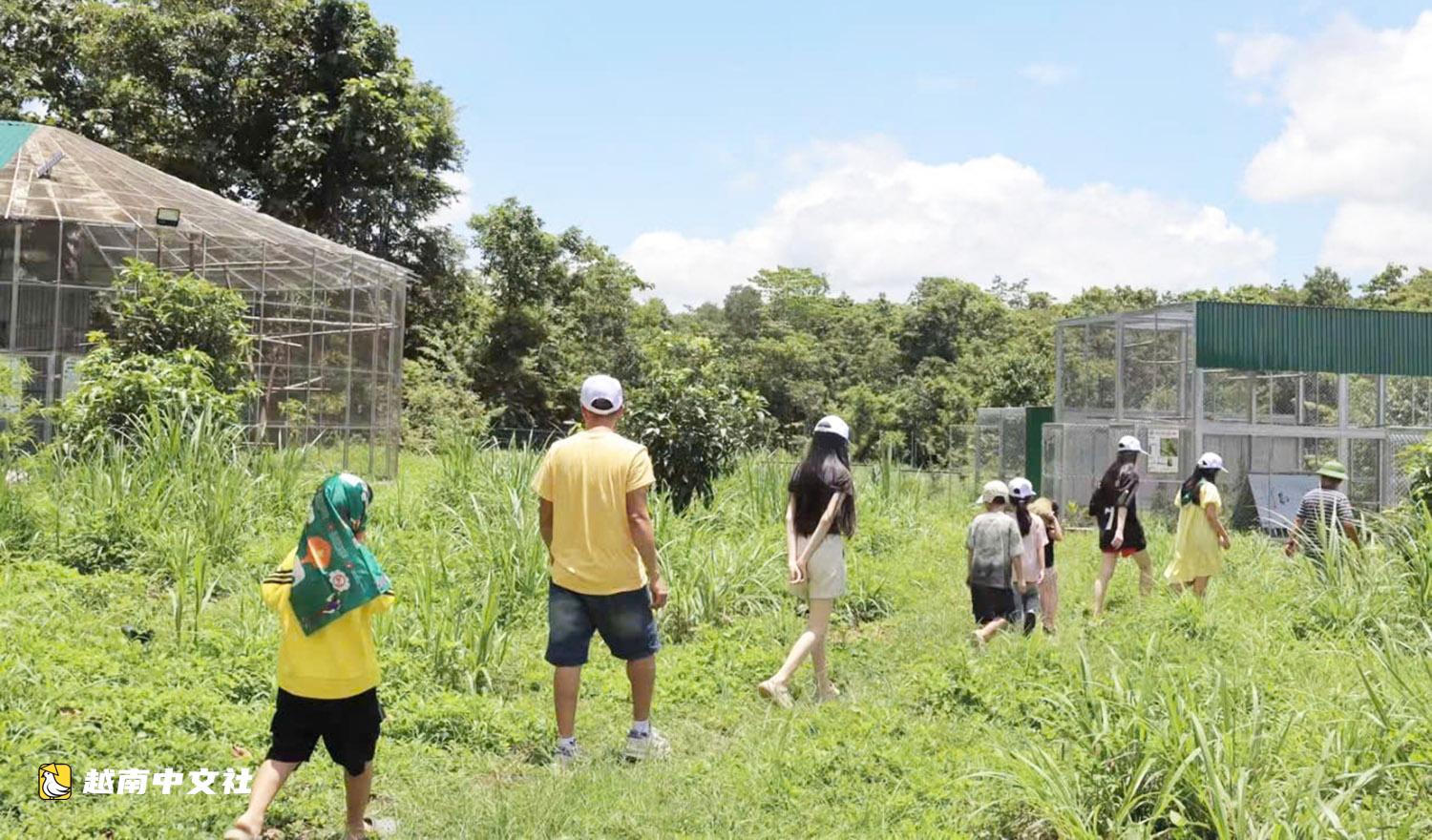 越南邦敦救援站節日期間開放供遊客觀賞大象和野生動物