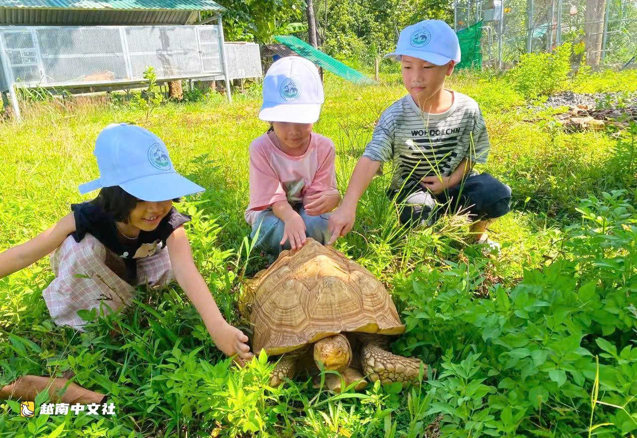 越南邦敦救援站節日期間開放供遊客觀賞大象和野生動物