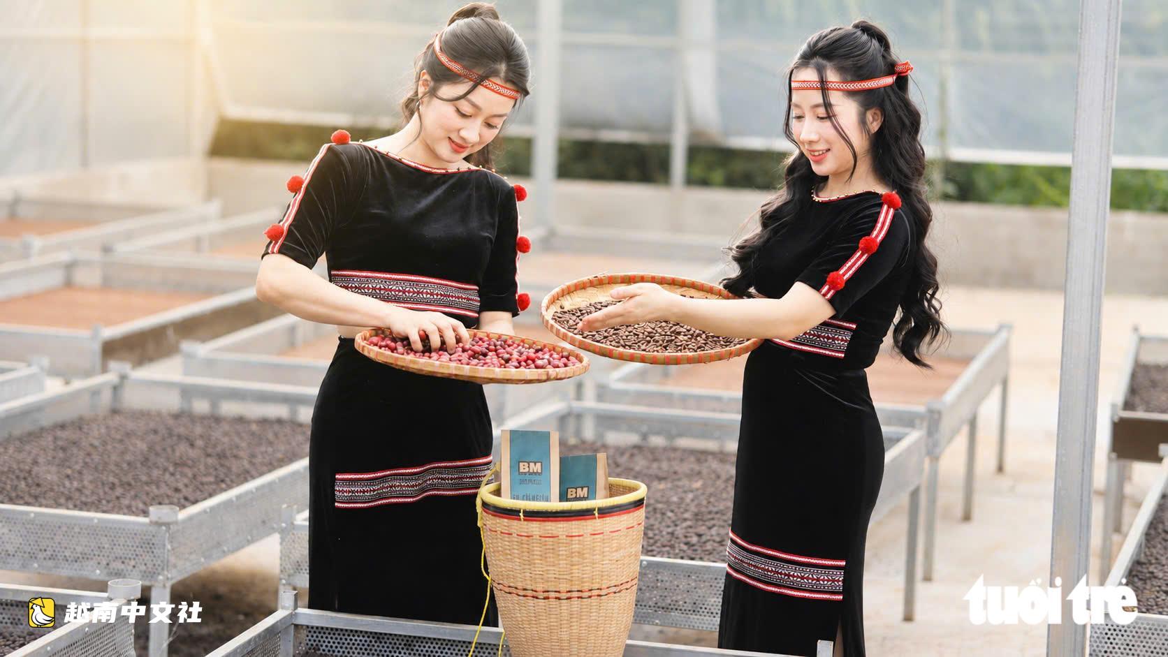 越南多樂省農民踴躍參加“以耕種數據提升羅布斯塔咖啡價值”研討會