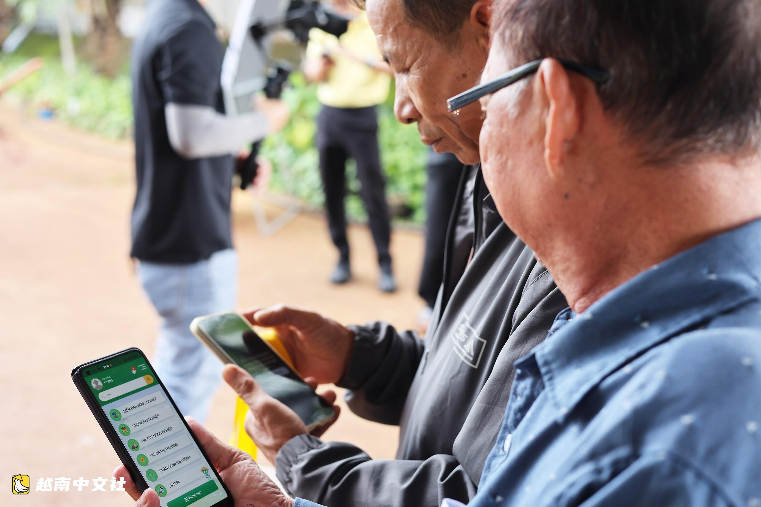 越南農民走進咖啡園用App“診斷”病蟲害