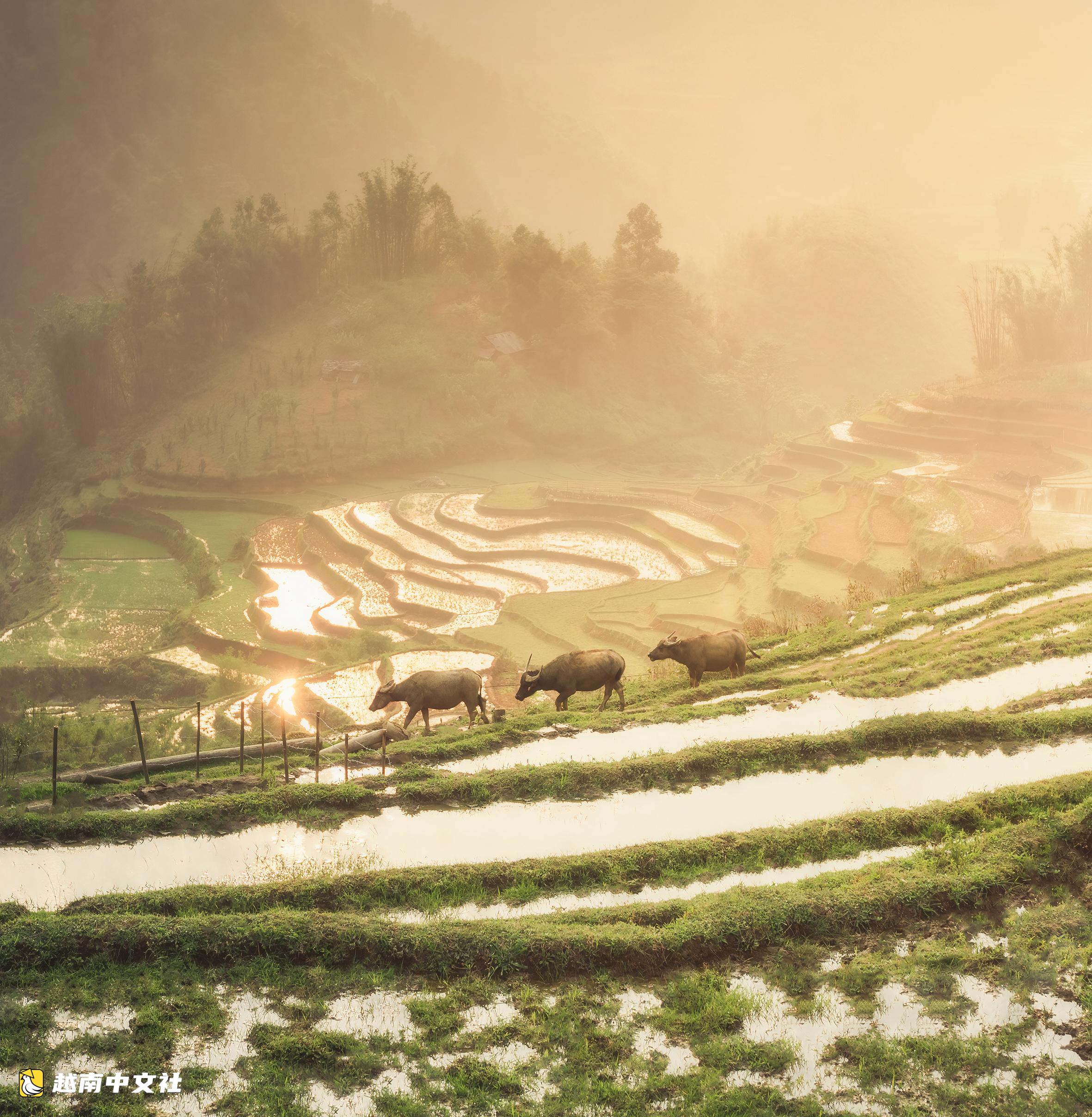 越南旅遊:以特色競爭,以體驗創造獨特價值