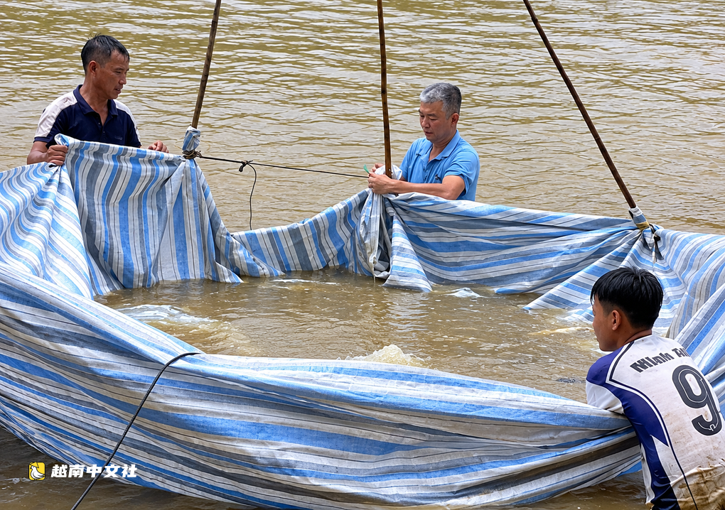越南清化省錦水1號水電站事故致近10噸網箱魚死亡