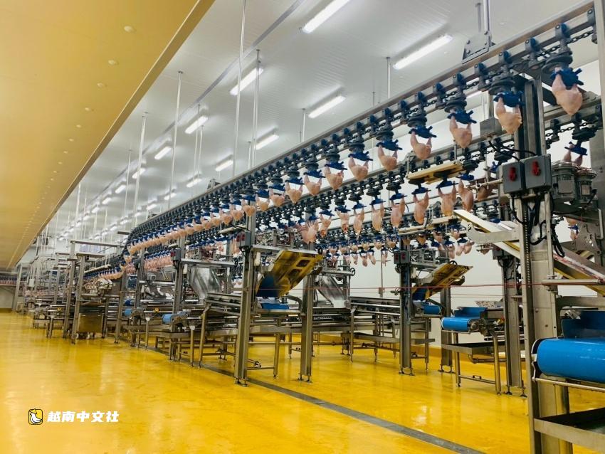 越南C.P.公司向韓國出口首批加工雞肉
