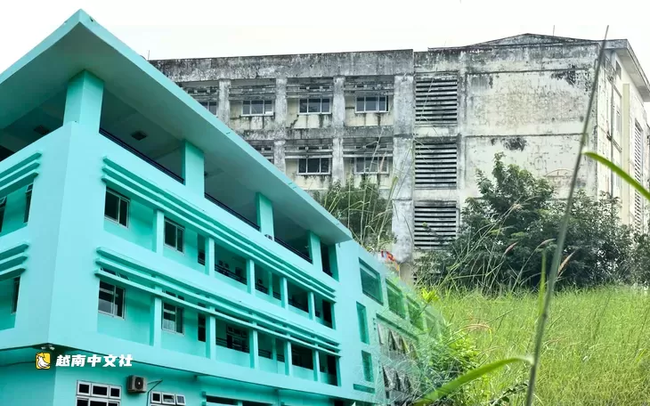 越南胡志明市市委副書記阮福祿:不讓心理疾病成為兒童成長路上的障礙