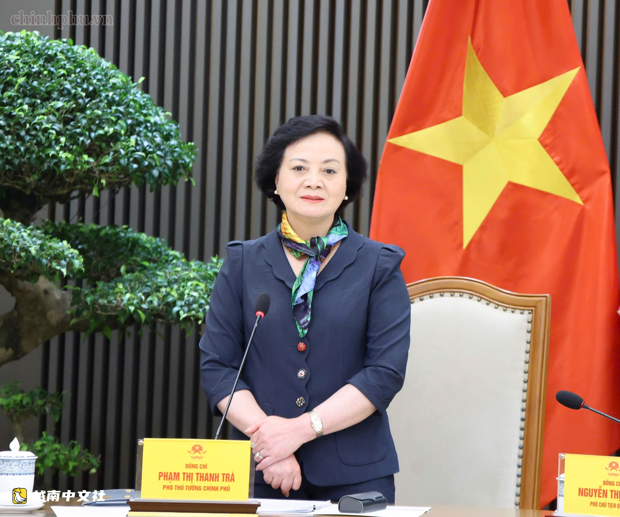 越南副總理范氏清茶:醫療設備採購必須價格透明、減少中間環節