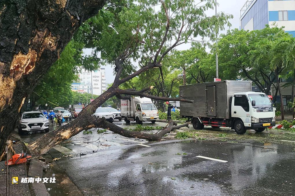 越南會安遭遇大雨道路被淹,山區發生山體滑坡
