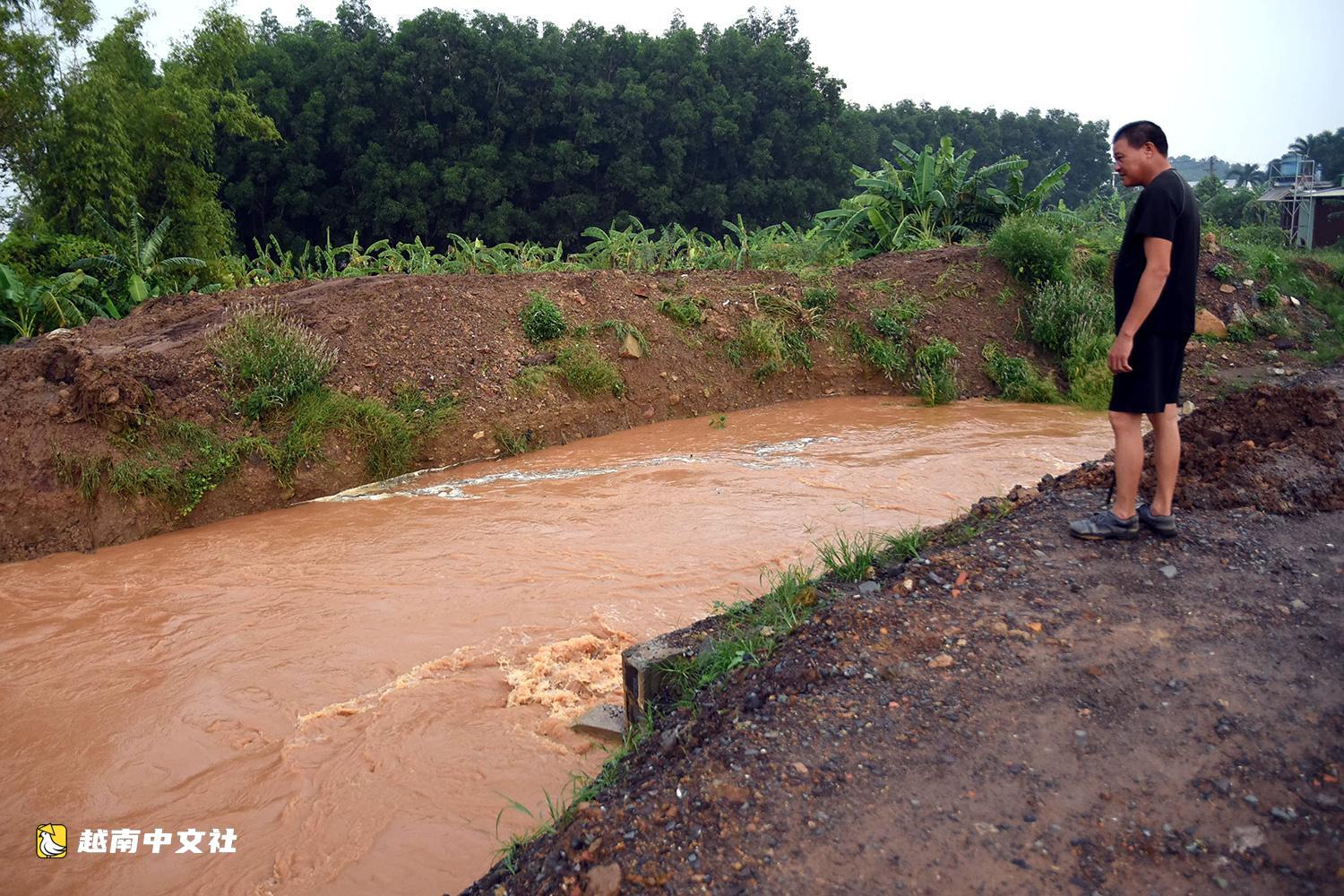 越南同奈省:邊和-頭頓高速公路涵洞偏離水流,導致洪水淹沒且難以排水