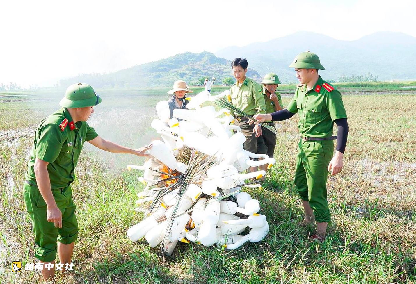 越南河靜省破除捕鳥“迷陣”,守護遷徙季鳥群