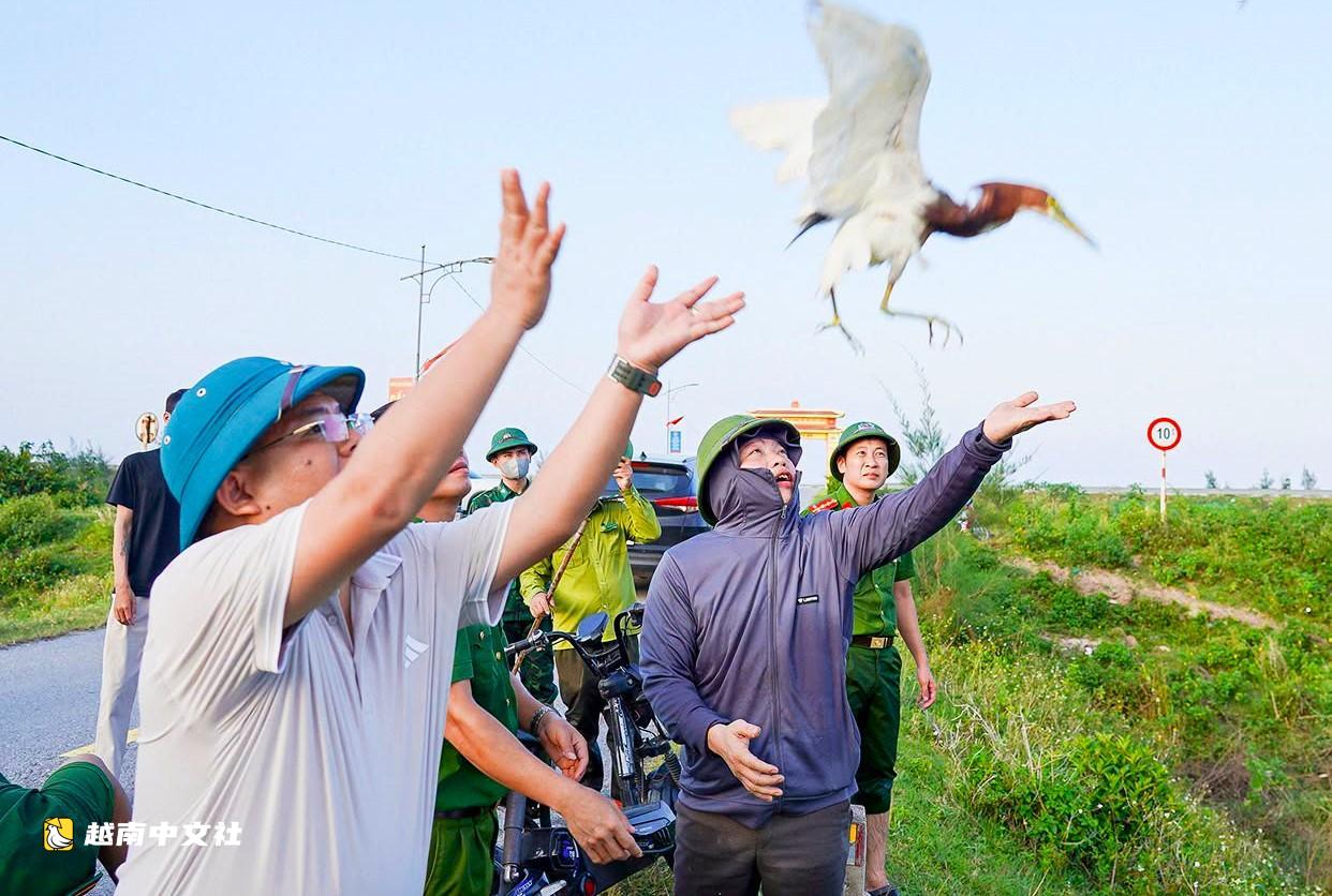 越南河靜省破除捕鳥“迷陣”,守護遷徙季鳥群