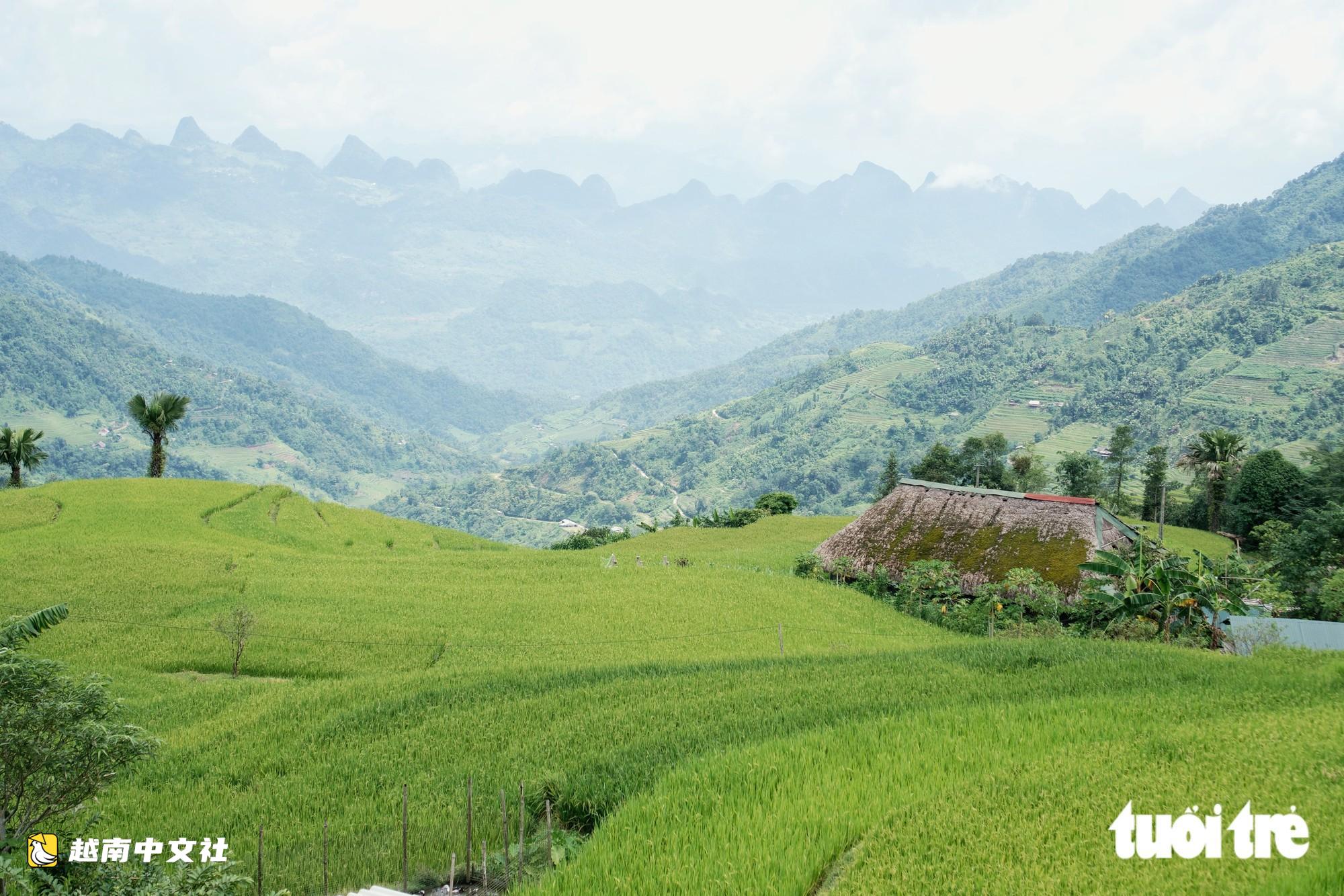 越南‘東北屋脊’:翻山越嶺欣賞梯田美景