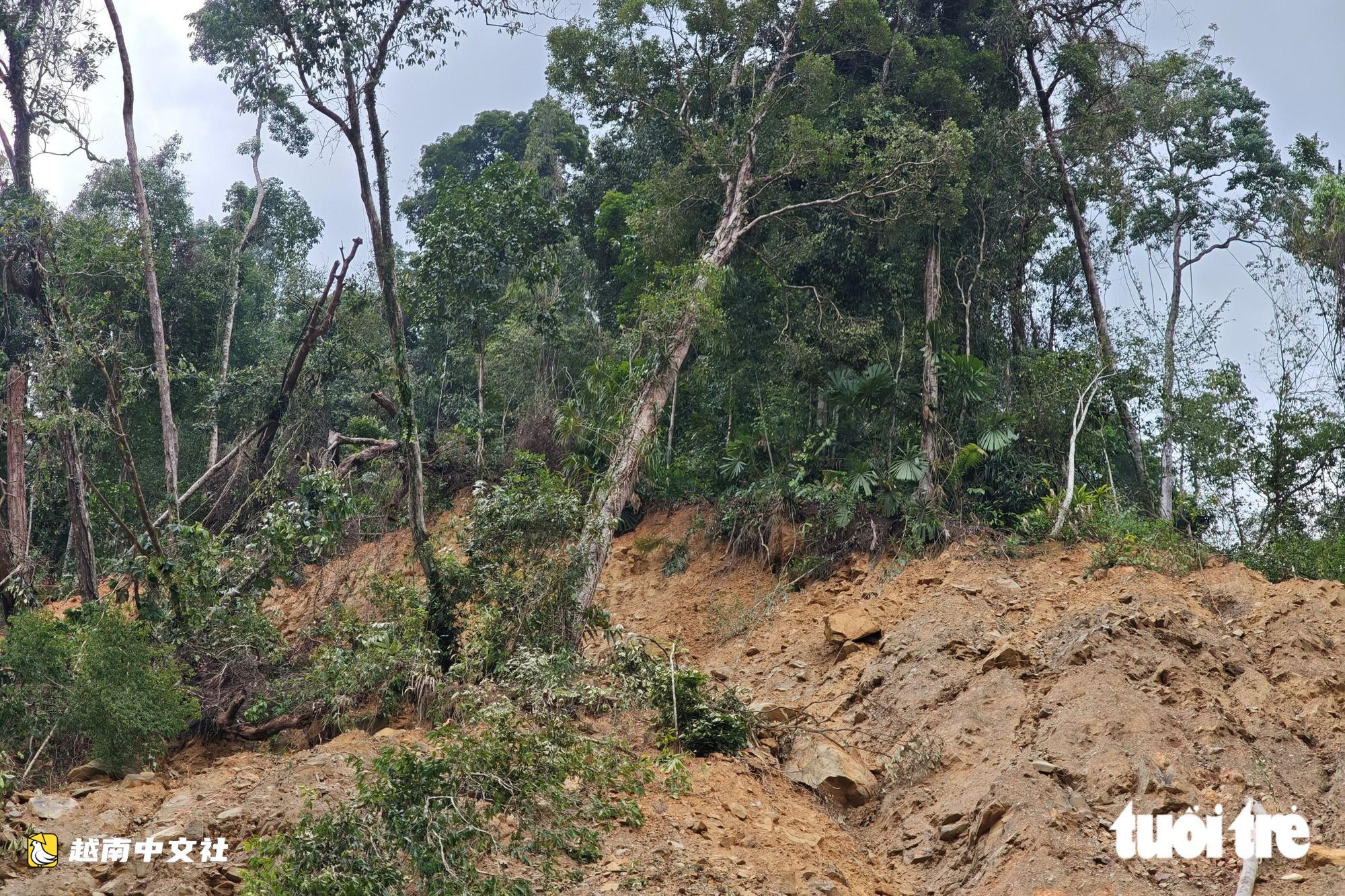 越南南東-阿雷公路遭土石和倒伏樹木阻斷
