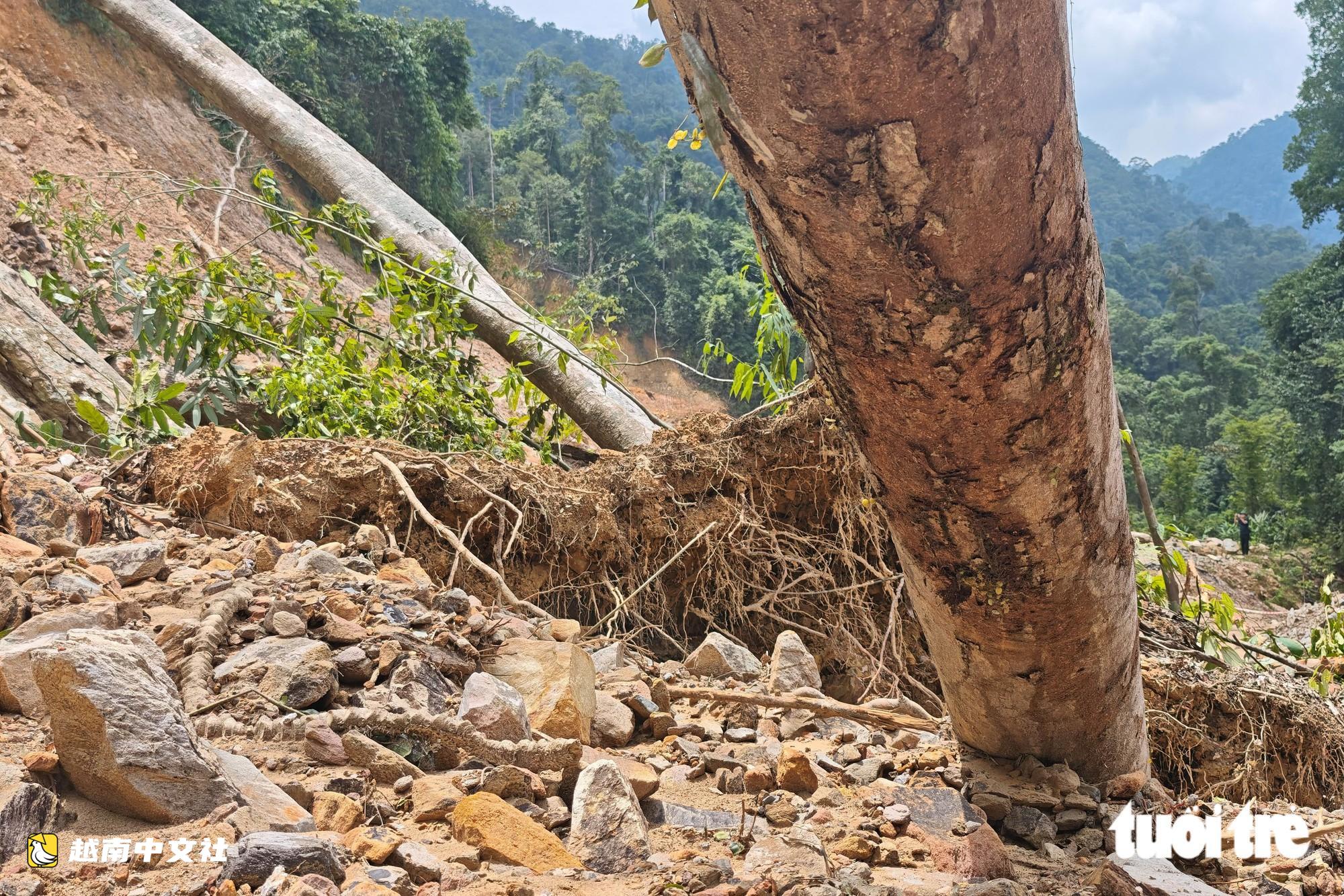 越南南東-阿雷公路遭土石和倒伏樹木阻斷