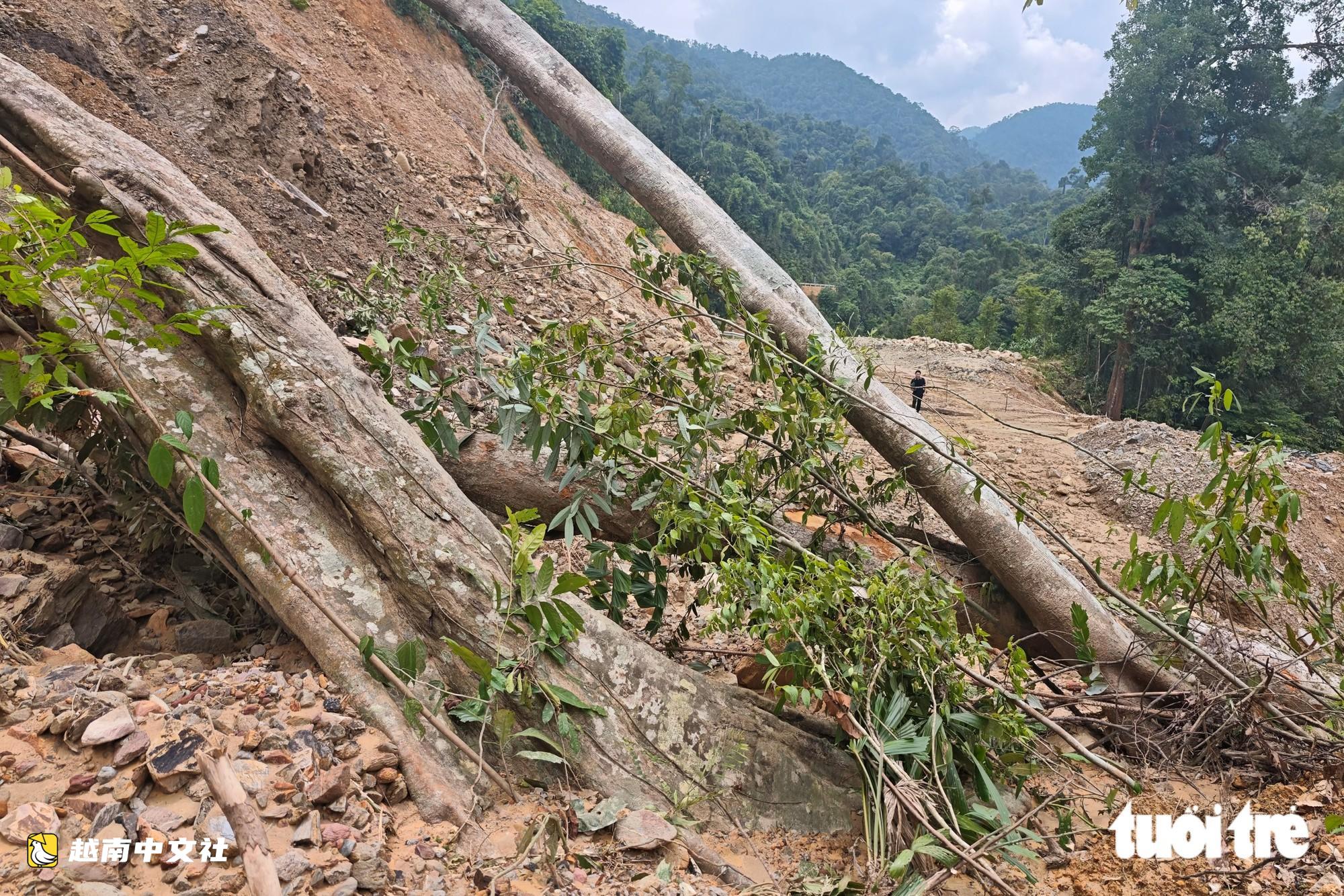 越南南東-阿雷公路遭土石和倒伏樹木阻斷