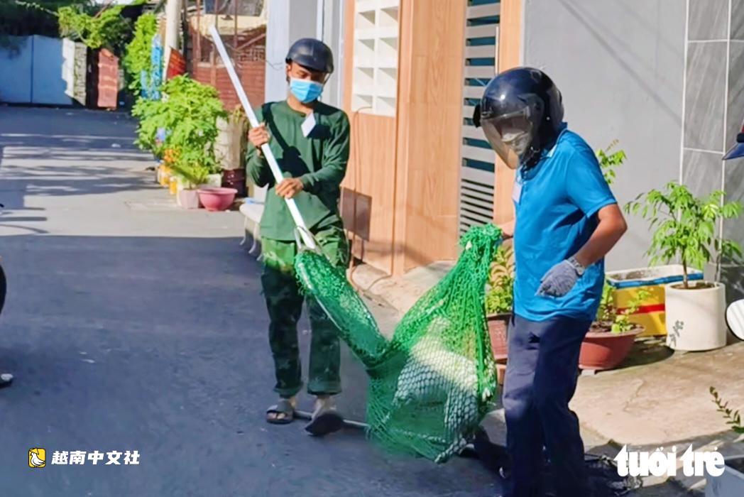 越南胡志明市昆島特區及24個鄉坊已捕獲409只散養狗