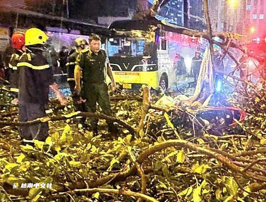 越南胡志明市一男子被樹枝砸中身亡
