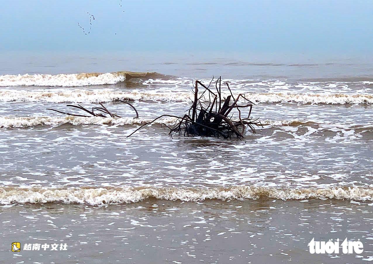 越南:大雨過後垃圾漂流覆蓋海灘