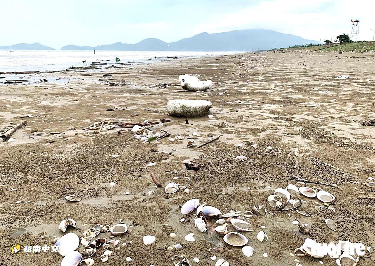 越南:大雨過後垃圾漂流覆蓋海灘
