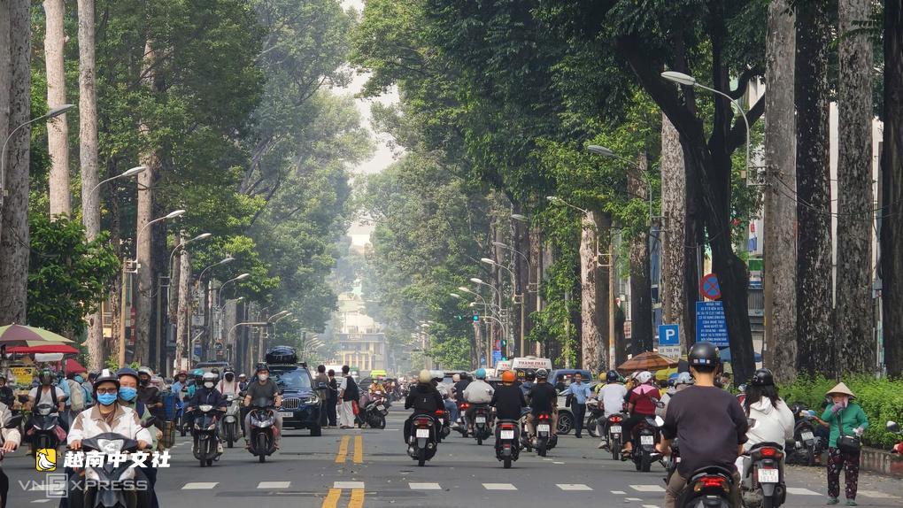 胡志明市街頭古樹潛藏折斷倒塌、砸傷行人風險