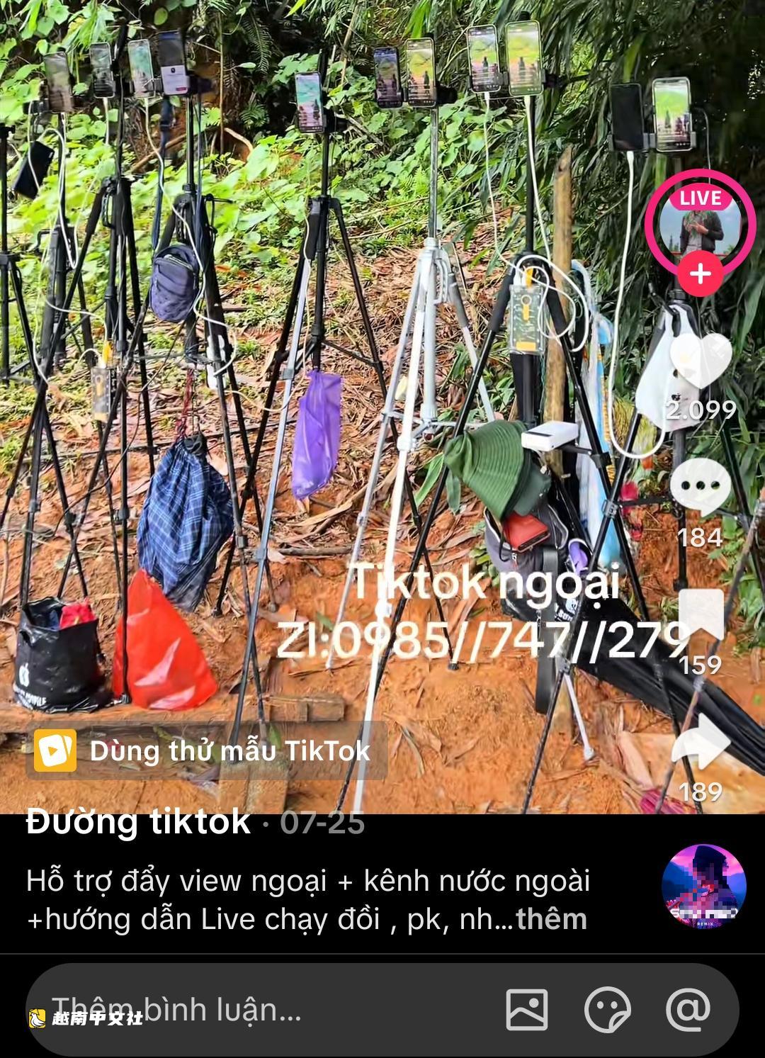 越南直播自虐賺錢亂象令人膽寒:扇嘴、彈鼻、喝尿換打賞
