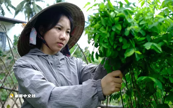 越南“助力上學”獎學金每年如約而至,我追看它如同觀看一場“毅力的音樂會”