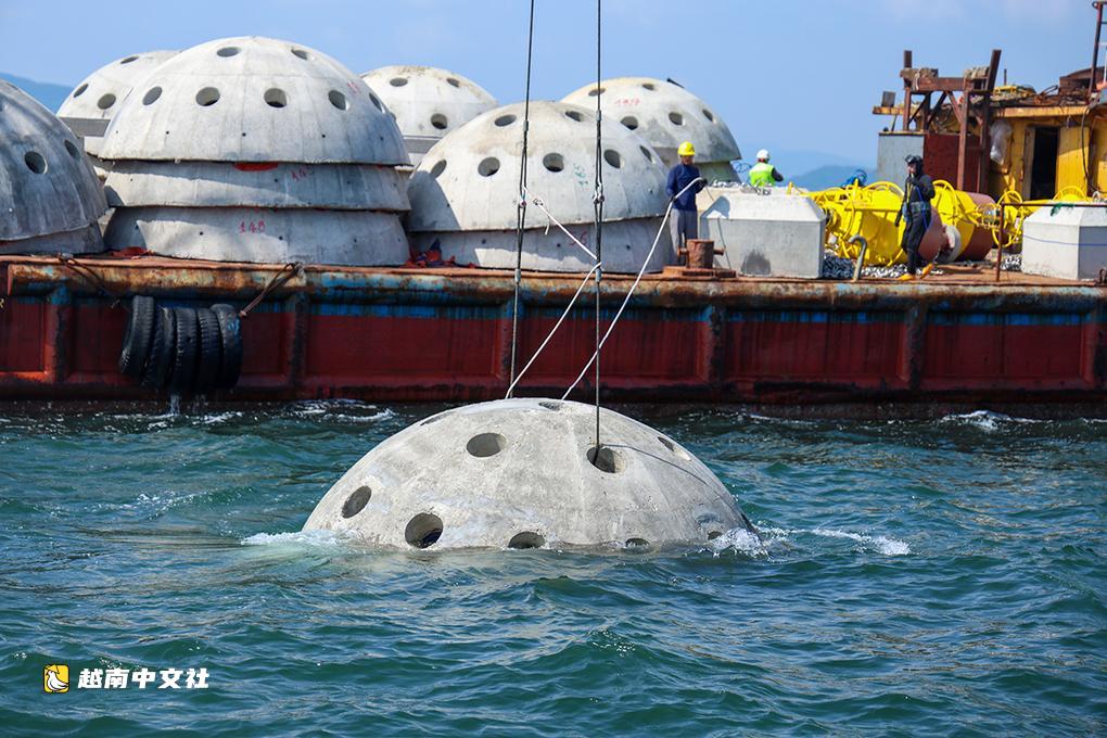 越南河靜省為魚蝦“建房”