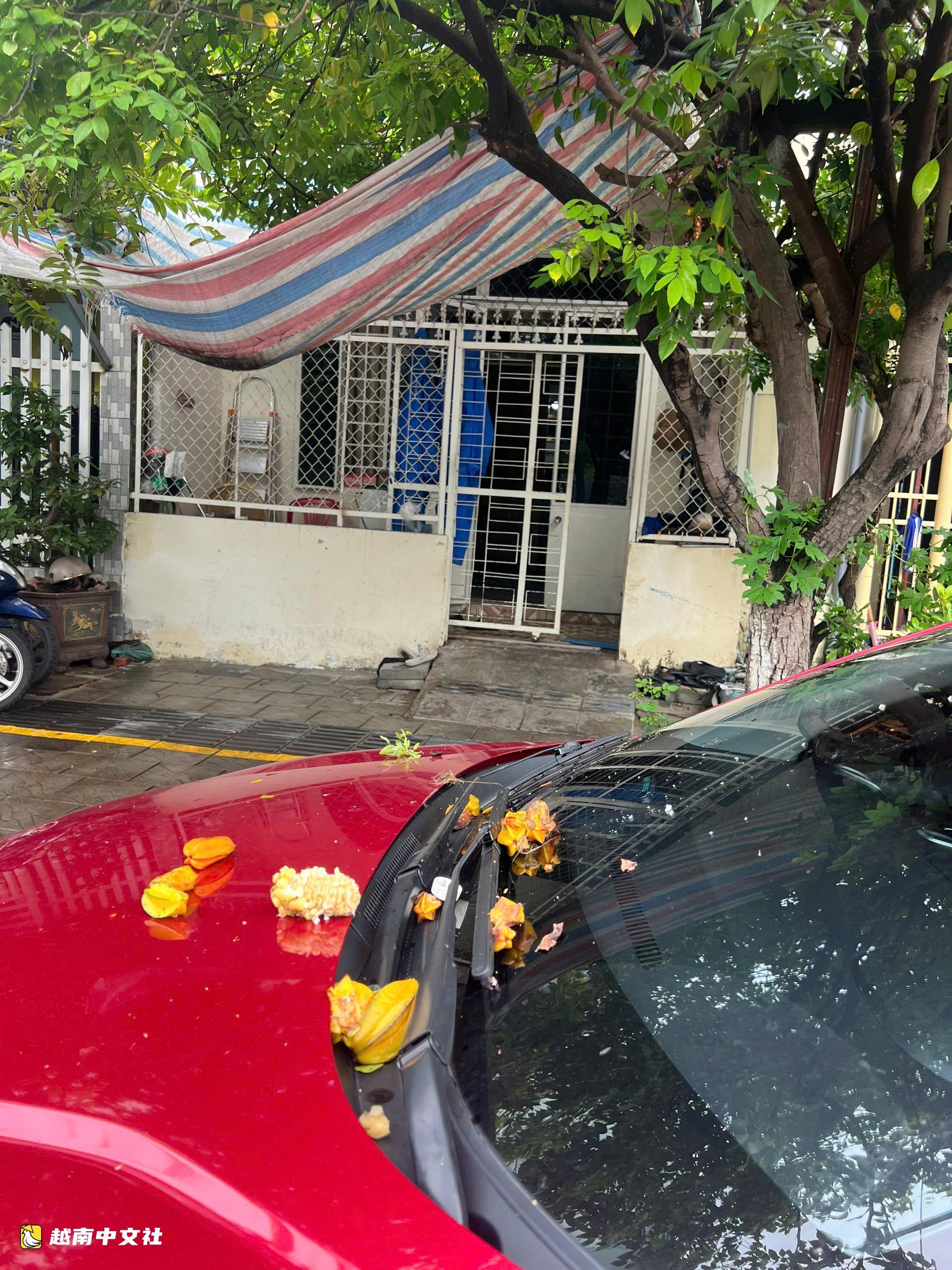 越南峴港路邊找汽車停車位要看房主臉色,對方沒表情才能停?
