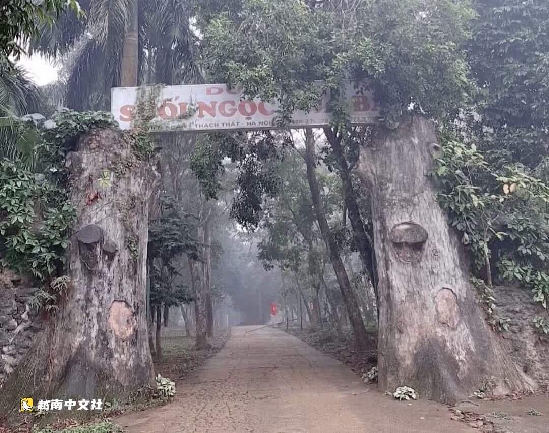 近20年後,越南政府監察總署建議撤銷解散溪玉-王婆合作社的決定,原因何在?