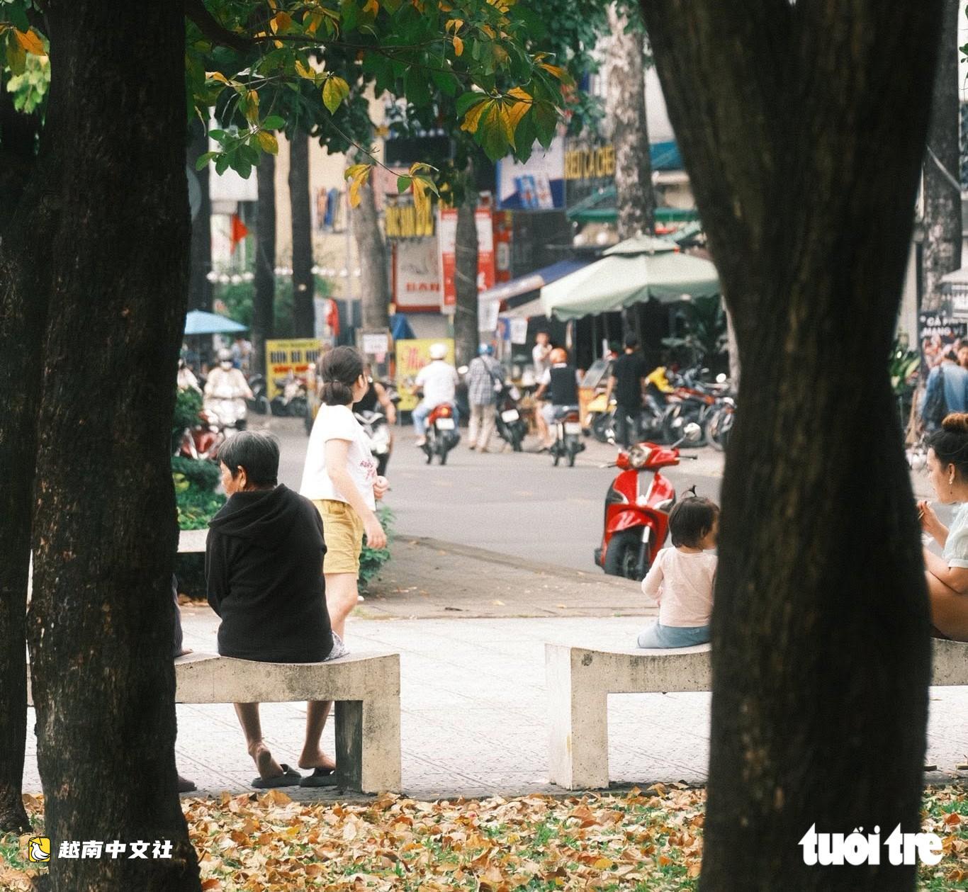 越南胡志明市進入落葉季:'秋日'道路走紅,許多人前來拍照