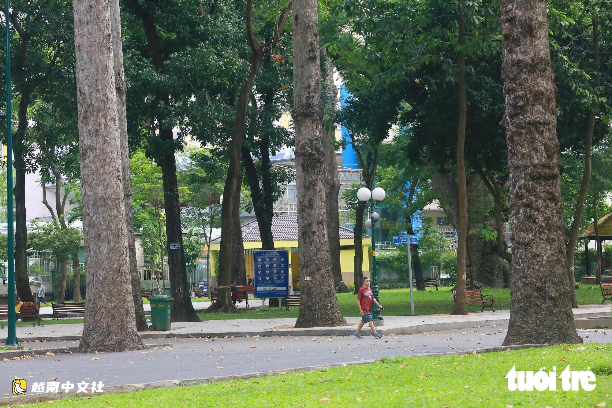 越南胡志明市:調查市中心綠化樹木的“砍伐”流程