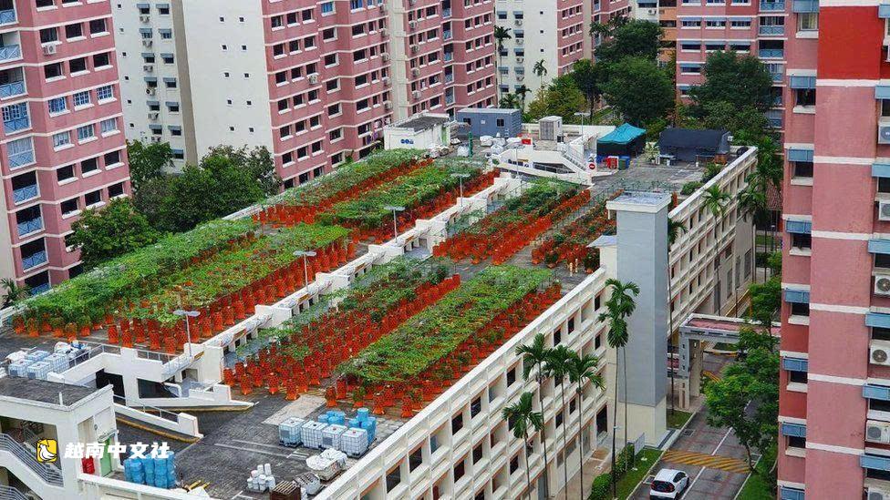 越南社會住房思考:生活成本如何更適中