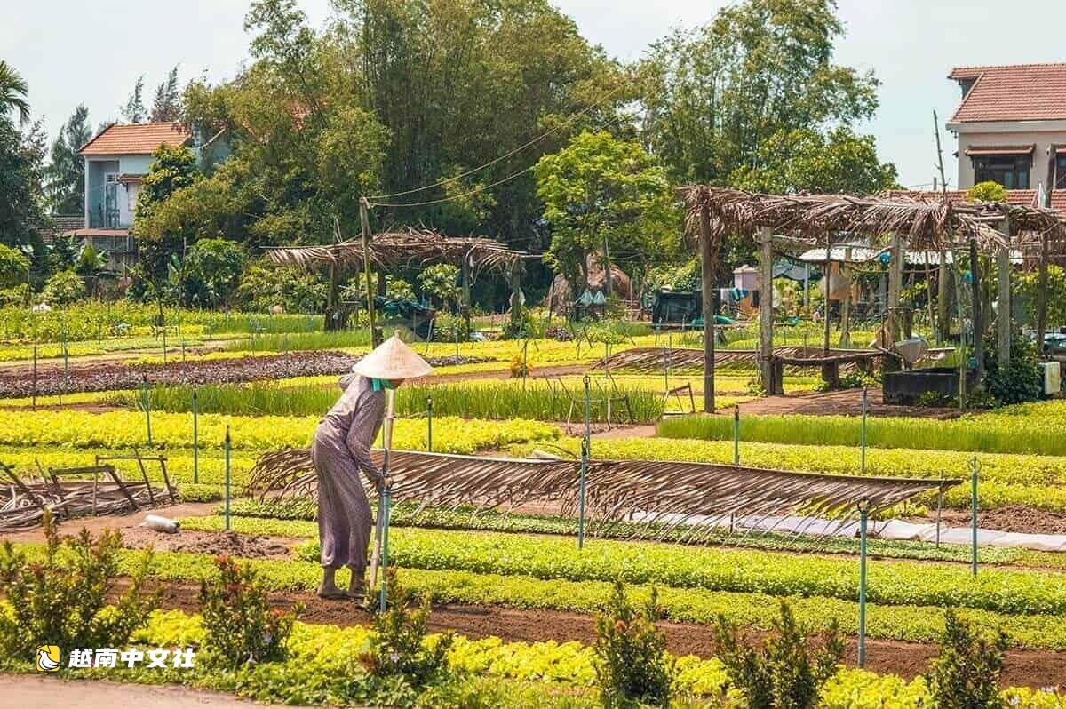 越南:當旅行變成與當地人共進的一餐