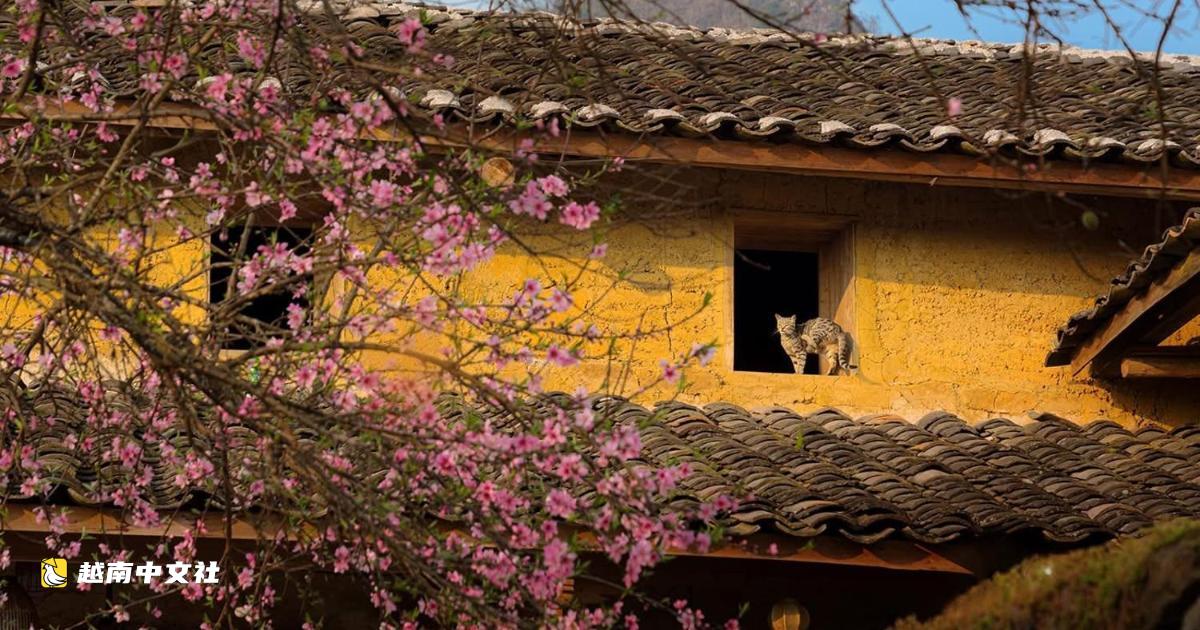 越南:當旅行變成與當地人共進的一餐