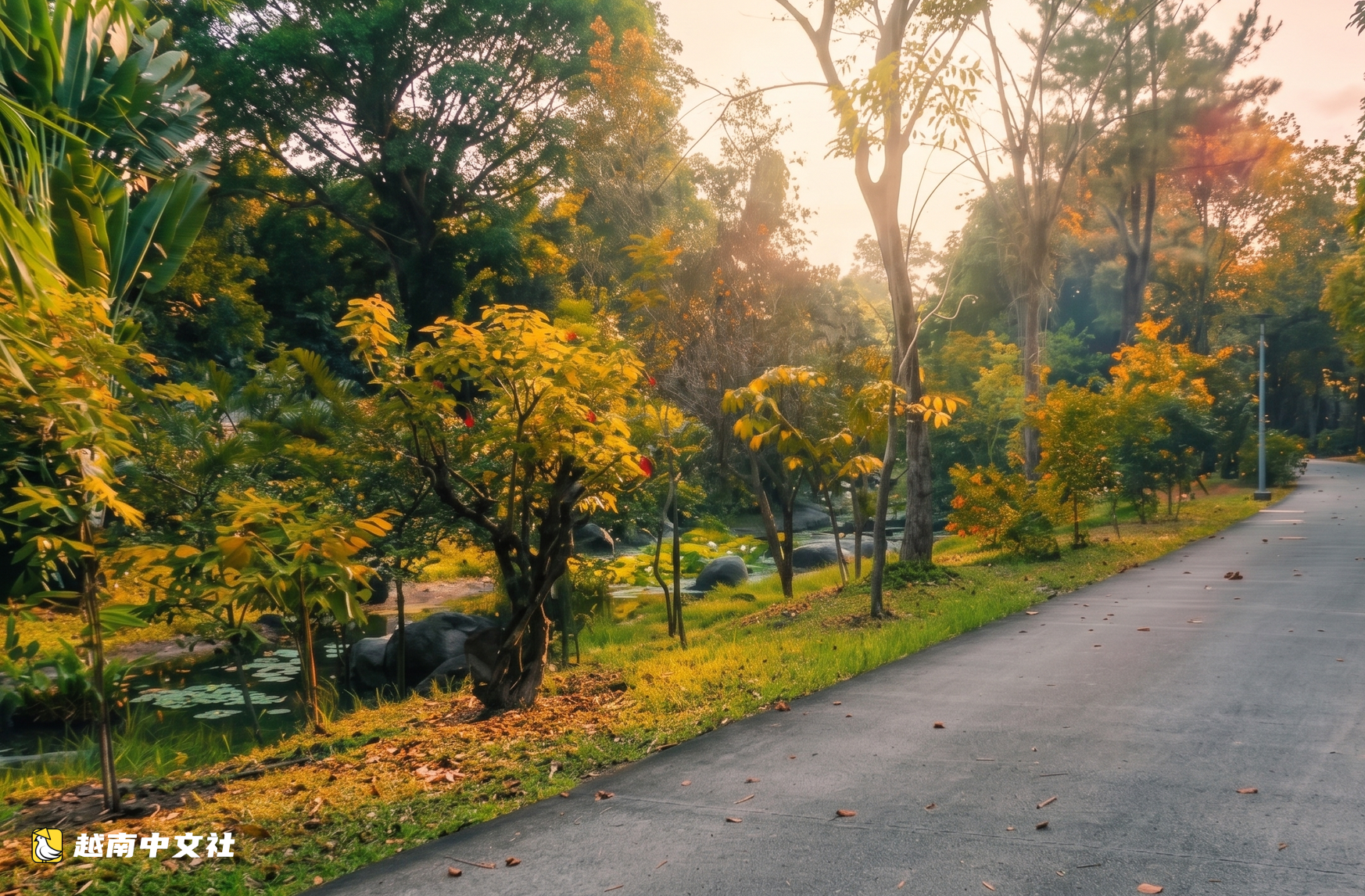 越南胡志明市一公園湖水詩意,樹木換葉染秋色