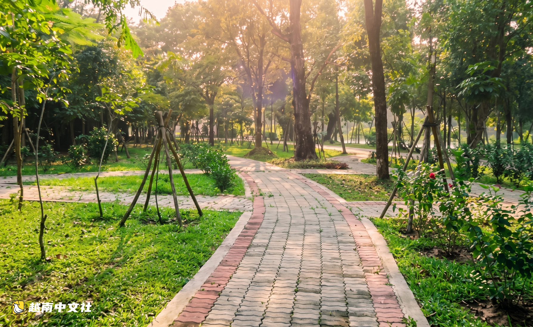 越南胡志明市一公園湖水詩意,樹木換葉染秋色