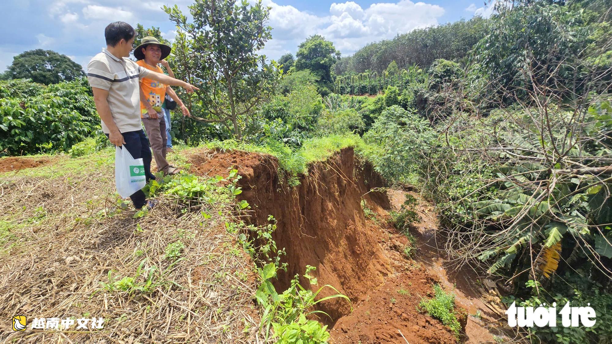 越南長裂縫“吞噬”民眾大量土地和農作物